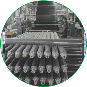 <span class=keywords><strong>Film</strong></span> Pacciamante Agricolo in PE da 30 Micron Argento/Nero Anti-Erba per Coltivazione Fragole e Cipolle - Product Image 6
