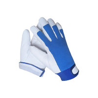 Cuir de grain de porc. Dos en tissu élastique bleu. Poignets doublés de tissu de rayonne de polyester blanc. Grade B-DLP426