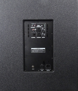 18 "mạnh mẽ DSP loa siêu trầm hoạt động <span class=keywords><strong>PA</strong></span> Hệ thống Loa di động DJ Hệ thống hoạt động <span class=keywords><strong>PA</strong></span> Loa cột Loa hộp dòng hệ thống mảng - Product Image 3