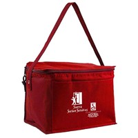 Vente en gros de sacs isothermes thermiques à emporter pour le déjeuner non tissé boîte de pique-nique en plein air sac isotherme personnalisé