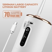 Nouvel Irrigateur Buccal Électrique Portable Étanche Rechargeable par USB pour Nettoyage Dentaire