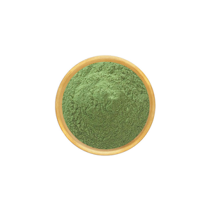 Mulberry Leaf <b>Extract</b> Natural Herbal Powder Morus Alba Leaf <b>Extract</b> for Wellness and Ayurvedic Formulations - Product Image 1