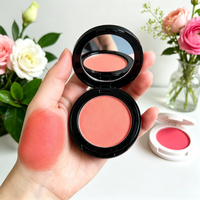 Palette de fard à joues en poudre naturelle à haute pigmentation, format voyage, rouge, couvrant, contour, maquillage, cosmétiques, vente en gros, fard à joues