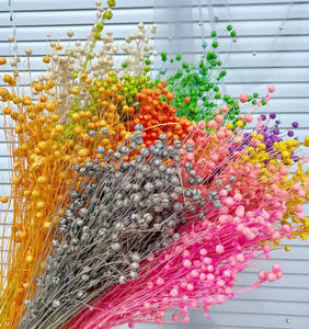 Оптовый букет из сухоцветов Huahuan: разноцветные бобы акации, бобы «счастье» — комплексное решение для декора дома и свадеб - Product Image 3