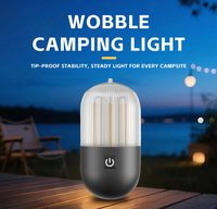 Lampe de camping rechargeable 250 lumens IPX4 avec crochet portable compatible avec un trépied pour le camping