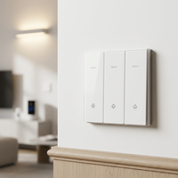Interruptor de Pared Eléctrico Multifunción para el Hogar, Enchufe con Placa Frontal de Vidrio Templado de Lujo, Interruptores y Enchufes de Pared