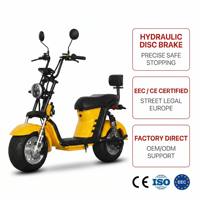 Potente Motocicleta Eléctrica Citycoco 3000w con Llantas Anchas para Adultos