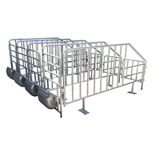 Nouvellement Disponible : Système de Cages pour Animaux, Équipement d'Élevage pour Porcs (Enclos, Caisses de Maternité et Enclos d'Élevage) pour l'Élevage et le Bien-être <span class=keywords><strong>Animal</strong></span> - Product Image 2