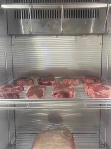 <span class=keywords><strong>Réfrigérateur</strong></span> commercial portable pour viande vieillie à sec avec bloc de sel pour usage domestique - Product Image 6