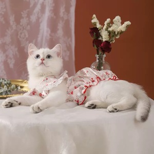 Une robe bulle à motifs floraux pour chats, conçue pour éviter la perte de poils, idéale pour le printemps et l'été. Cool et léger. - Product Image 1