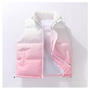 Logo personnalisé hiver nouveau col montant gilet en coton hommes lâche épaississement dégradé chaud coton rembourré veste hommes tendance - Product Image 2