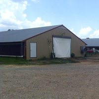 Structure en acier préfabriquée avancée pour abri à moutons, hangar à vaches à grande échelle pour l'élevage