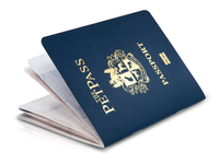 Accessoire de passeport personnalisé pour films, fourniture directe d'usine, cahiers de passeport amusants et personnalisés pour animaux de compagnie, papeterie pour animaux.
