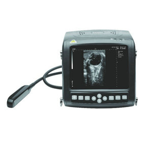 Nuevos materiales Buen <span class=keywords><strong>precio</strong></span> Máquina de ultrasonido Perros Kaixin KX5200V Ultrasonido para animales - Product Image 2