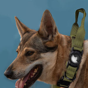 Wasserdichtes Anti-Verlust-Hundehalsband aus Nylon mit Integriertem Airtag-Halter, Robustes Air Tag GPS-Ortungs-Hundehalsband - Product Image 4
