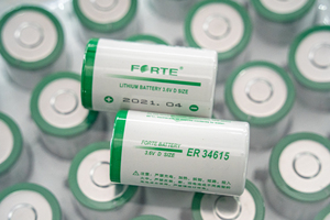 Er34615 + fpc1550 Pin 19000mAh 3.6 Volt pin lithium chính - Product Image 4