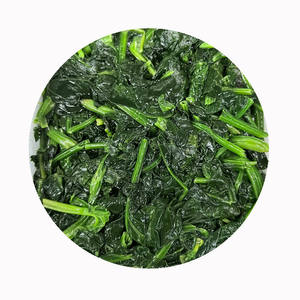 سبانخ مجمد IQF-خيارات عضوية وتقليدية _ من المصنع مباشرة _ علامة خاصة OEM _ الاحتفاظ بنضارة عالية - Product Image 1