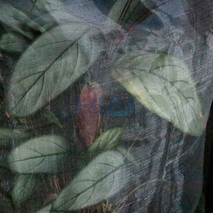 Nhà Máy Bán buôn giá 50gsm, 20*30cm chống côn trùng Net Túi cây ăn quả bảo vệ - Product Image 3