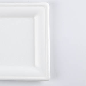 <span class=keywords><strong>Assiette</strong></span> carrée <span class=keywords><strong>jetable</strong></span> de haute qualité de 10 pouces plateau à gâteau cartons de bonne qualité sucre bagasse boîte à lunch <span class=keywords><strong>jetable</strong></span> - Product Image 3