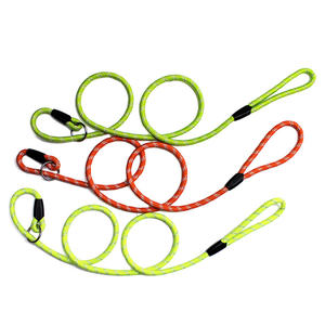 समायोज्य नायलॉन चिंतनशील पर्ची लीड पालतू पालतू कुत्ते के लिए रस्सी कस्टम कुत्ते पट्टा - Product Image 2