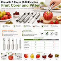 Groothandel Herbruikbare 5-delige Multifunctionele Fruit Corer en Pitter Set Keuken Fruit Snijgereedschap