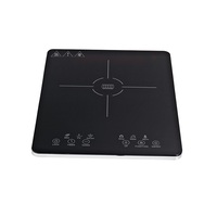 Mini cuiseur à Induction Portable, w, Mini cuiseur à Induction, grande puissance, bon prix
