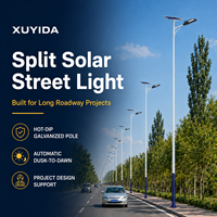 Lampadaire solaire municipal extérieur IP66 avec détecteur de mouvement, en alliage d'aluminium, 60W/100W/150W, batterie LiFePO4, poteau modulaire LED 6m/8m/10m