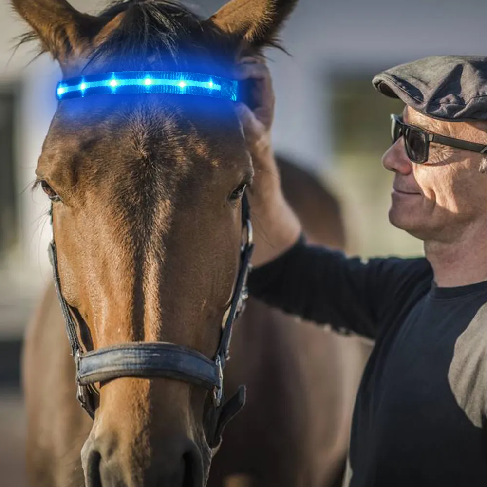 Nieuwigheid Paard Producten Led Knipperlicht Paard Apparatuur Paard Hoofd Bands