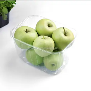 一次性水果punnet翻盖食品包装塑料盒