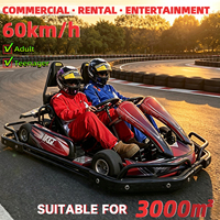 Go Kart de 2 Plazas a Gasolina, Motor de 200cc, Kart de Carreras para Adultos y Adolescentes, Uso Comercial, 60 km/h