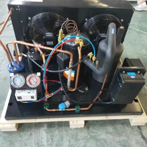 Col Room Storage Machine System Refrigeration Equipment Compressor Condensing Unit