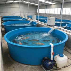 Bassin circulaire en PRV pour l'aquaculture, étang rond pour l'élevage de poissons, élevage de koïs, bassin de haute qualité - Product Image 2