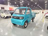 Fabricants chinois : Vente en gros de petites camionnettes électriques neuves pour adultes, CKD25, directement de la source