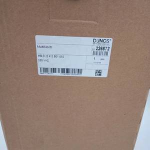 Quemador de Combustible Multifunción DUNGS de Acero Inoxidable con 1 Año de Garantía, Modelos MB-DLE407B01S50 MB-ZRDLE420B01S201 - Product Image 3