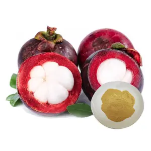 Mangosteen Poeder Puur Natuurlijke Mangosteen Extract 40% Alfa-Mangostine 6147-11-1