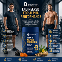 Fabricant OEM ODM, vente en gros directe d'usine, livraison rapide, gommes de Shilajit pur de l'Himalaya 4000mg avec Ashwagandha