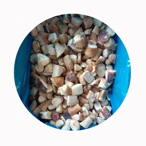 IQF congelé frais organique funghi porcini cèpes sauvage jaune champignon brun entier dés de printemps tranches morceau dés bloc Cubes coupes - Product Image 1