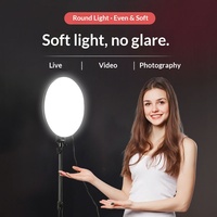 Lampe d'éclairage à panneau plat Qiniu 18 pouces à écran complet pour diffusion en direct et prise de vue beauté, avec télécommande - Vente en gros