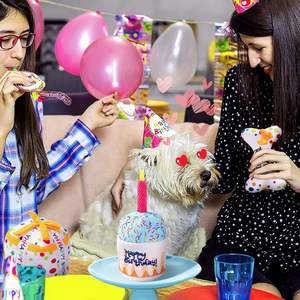 Offre Spéciale chien anniversaire jouets en peluche conception mignonne jouets à mâcher en peluche grinçant pour petits chiens de taille moyenne - Product Image 3