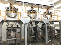 RL920 Food Grade Automatic Vertical Sea Salt Pouch Filling Brown Sugar Packing Machine
