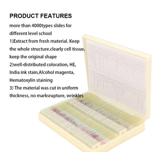 Lámina de Preparación Histopatológica para Muestras de Tejido Humano, Preparación de Muestras Médicas y Geológicas - Product Image 5