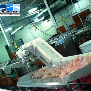 Băng tải nhựa mô-đun cấp thực phẩm để vận chuyển thịt, tôm, thiếc và như vậy - Product Image 4