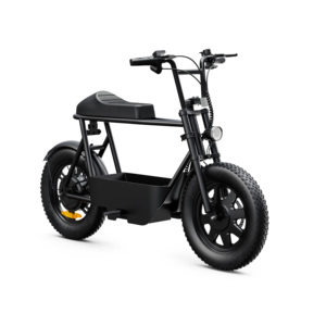 Vélo électrique cargo à pneus larges ODM/OEM Stealth Bomber, 16 pouces, tout-terrain, prix du vélo électrique, moteur 350, vélo électrique de plage - Product Image 2