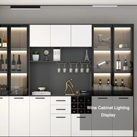 2025 Neue Moderne Schmuckvitrinen-LED-Beleuchtung DC24V Magnetische Linearform Hohe Helligkeit 5W Kunststoffschirm