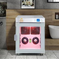 Séchoir à poils automatique en acier inoxydable EUR PET pour salon de toilettage d'animaux, séchoir pour chiens de petite taille