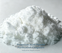 Poudre d'alun de potassium de qualité alimentaire, blanche, en bloc, en barre, en morceau, type Phitkari, pour rasage, aspect poudre