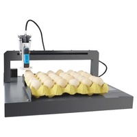 Venta caliente pollo pato huevo lote número línea de producción impresión automática fecha impresora de inyección de tinta