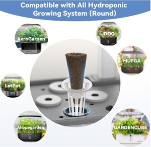 DIY Herb Garden Starter Kit 9 piantine di piante e Bouquet profumato per uso domestico - Product Image 6