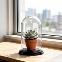 Cúpula de Acrílico con Base de Madera Negra, Exhibidor Decorativo, Campana de Cristal para Objetos Antiguos y Coleccionables, Terrario, Decoración del Hogar