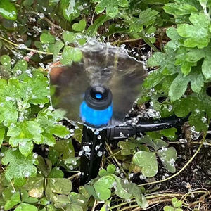 Kit d'irrigation goutte à goutte automatique 10m bricolage avec 10 buses et <span class=keywords><strong>tuyau</strong></span> d'<span class=keywords><strong>arrosage</strong></span> micro buse réglable et <span class=keywords><strong>tuyau</strong></span> inclus - Product Image 2